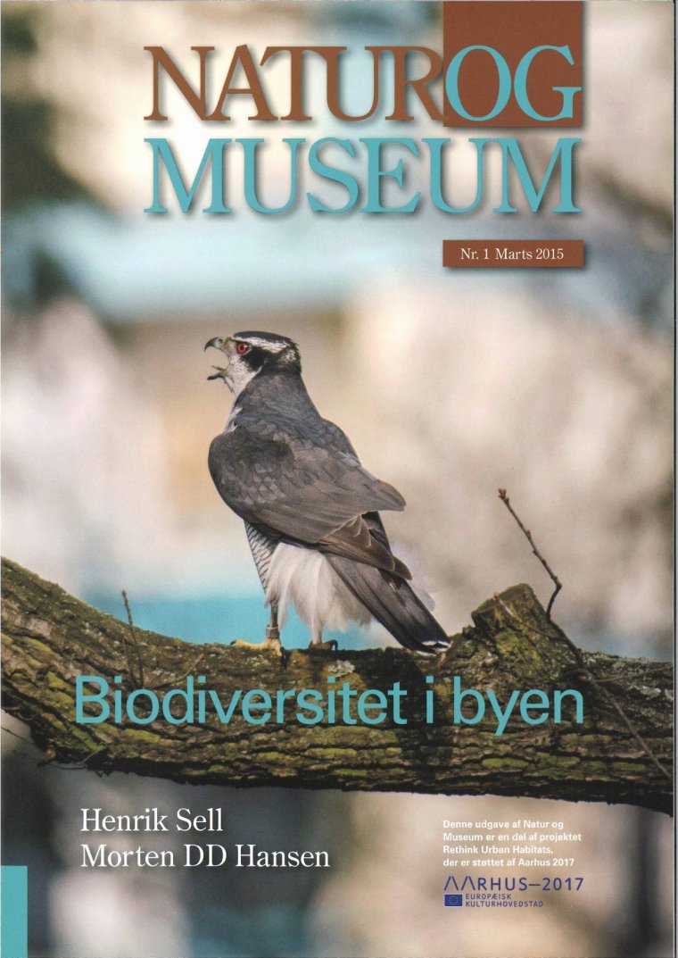 Biodiversitet i byen